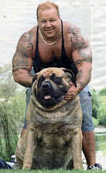 สุนัขที่ตัวใหญ่ที่สุดในโลก